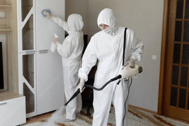 Certified Mold Removal in East Lake Orient Park, FL
